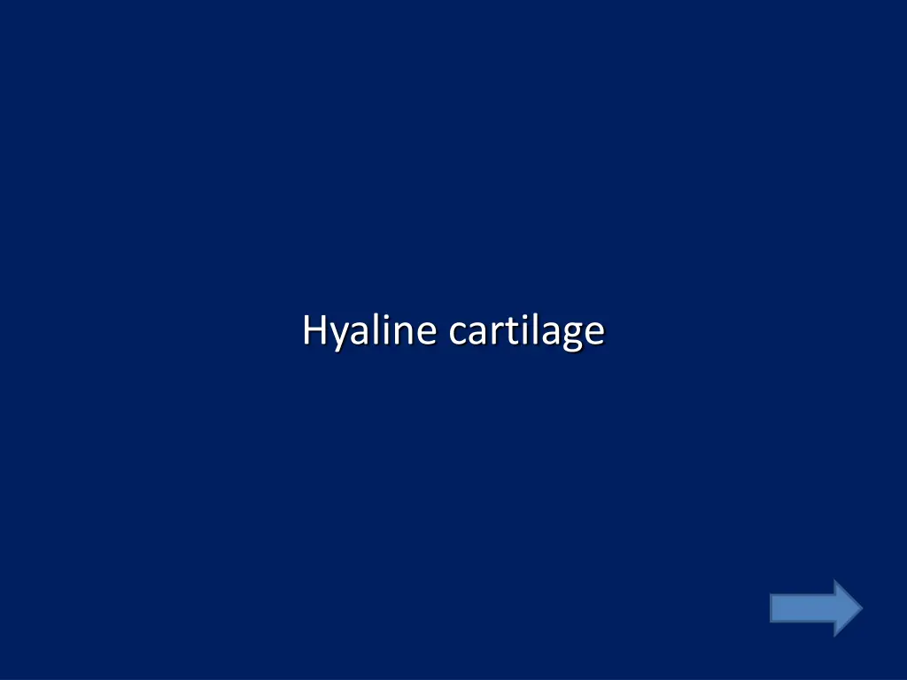 hyaline cartilage