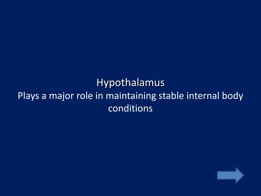 hypothalamus