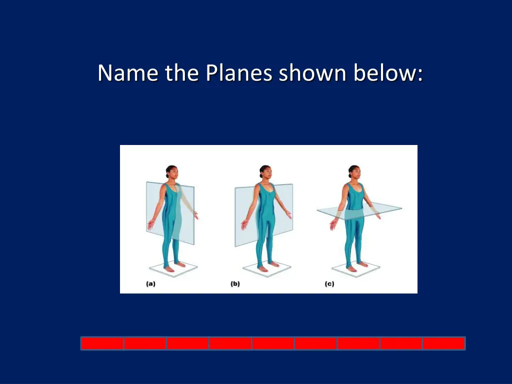name the planes shown below