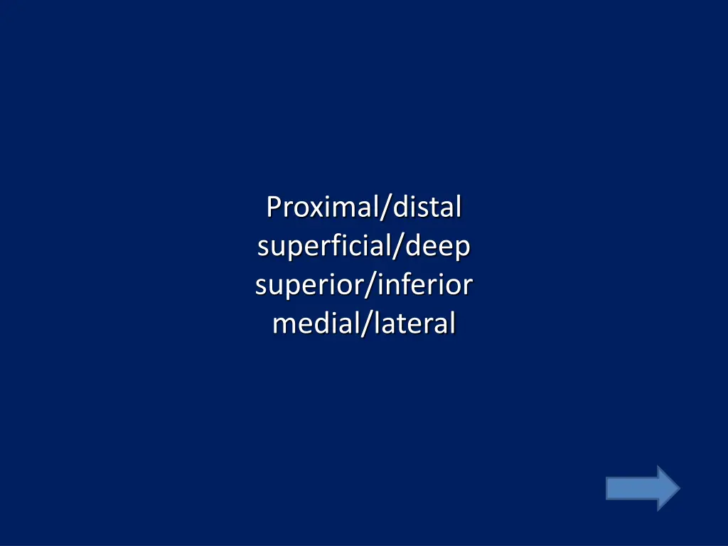 proximal distal superficial deep superior