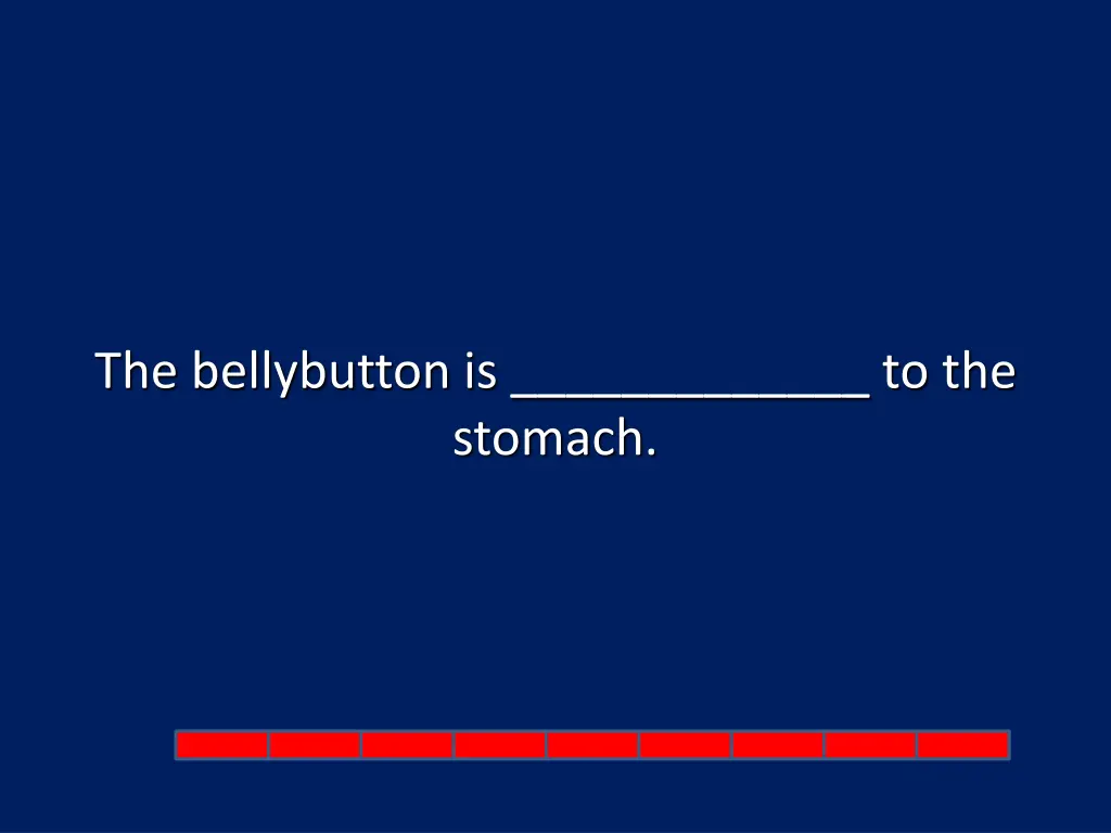 the bellybutton is to the stomach