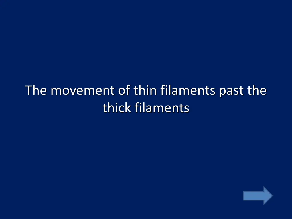 the movement of thin filaments past the thick