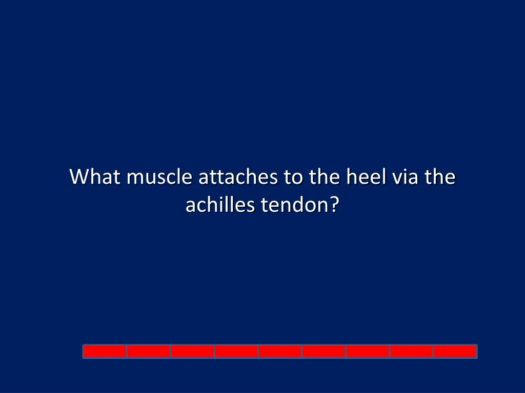 what muscle attaches to the heel via the achilles