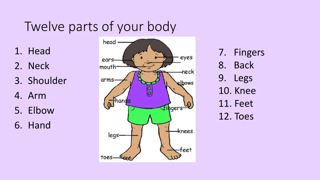 twelve parts of your body