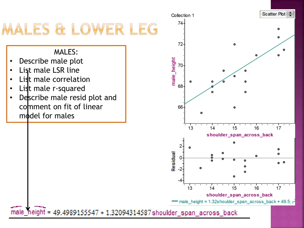 males lower leg