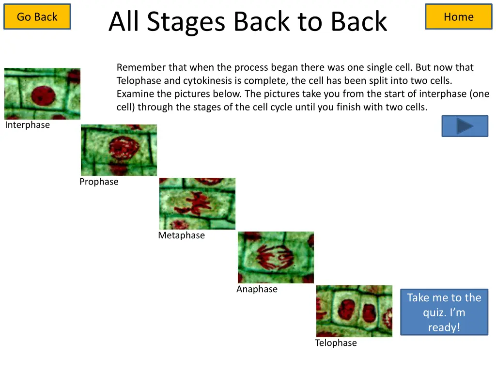 go back 13