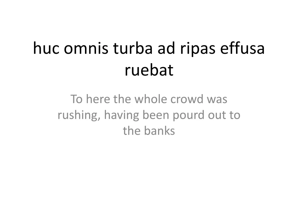huc omnis turba ad ripas effusa ruebat