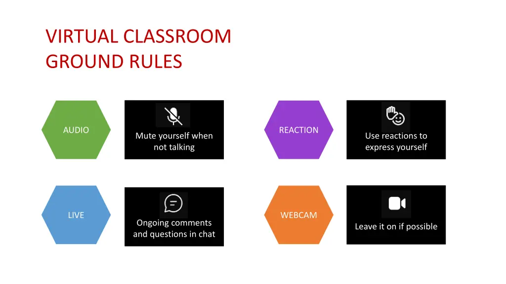 virtual classroom ground rules