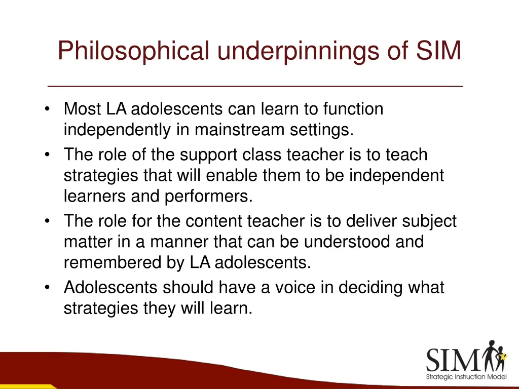 philosophical underpinnings of sim