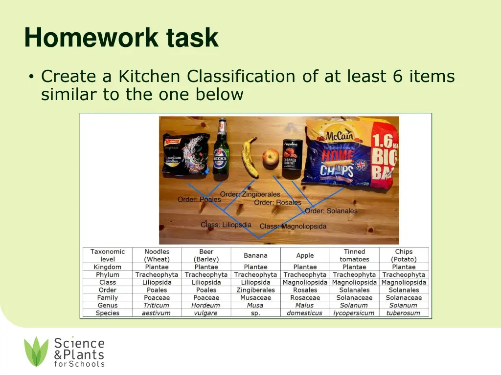 homework task