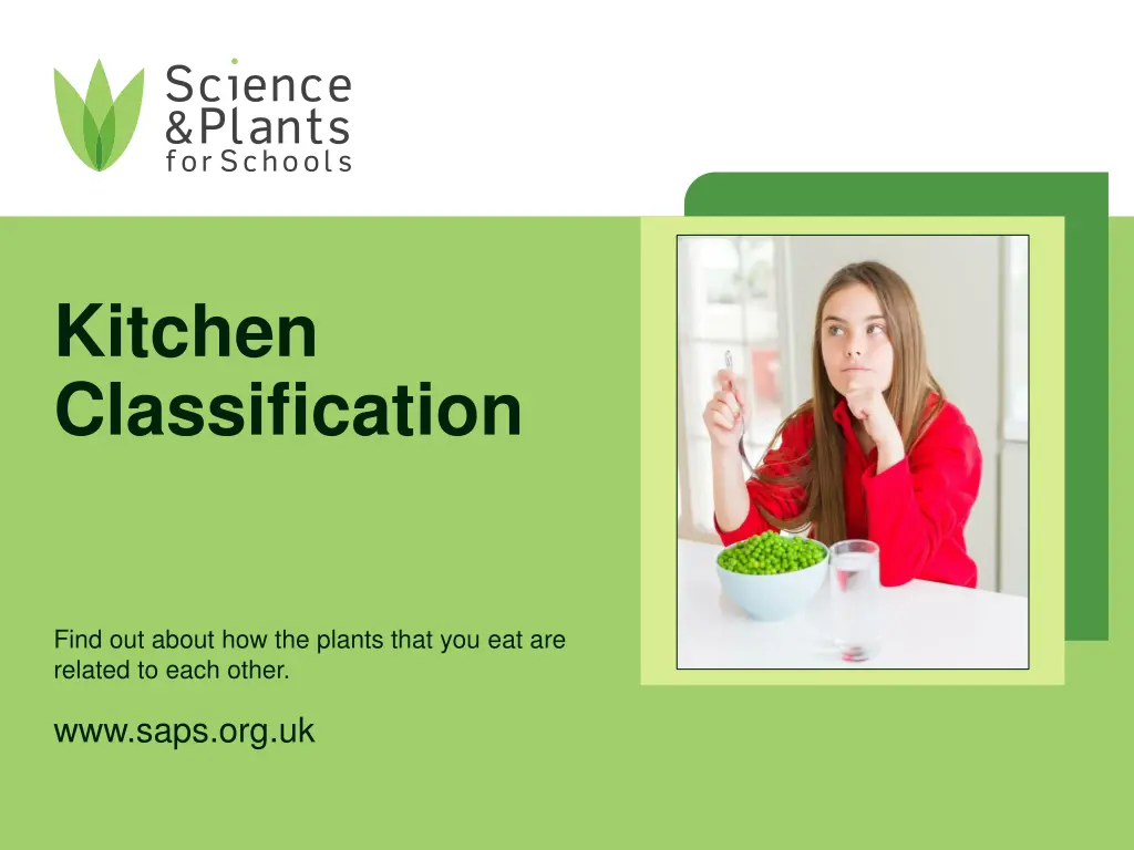 kitchen classification