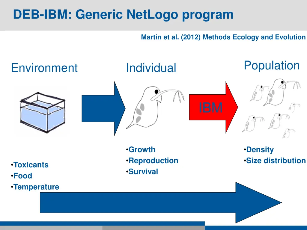 deb ibm generic netlogo program