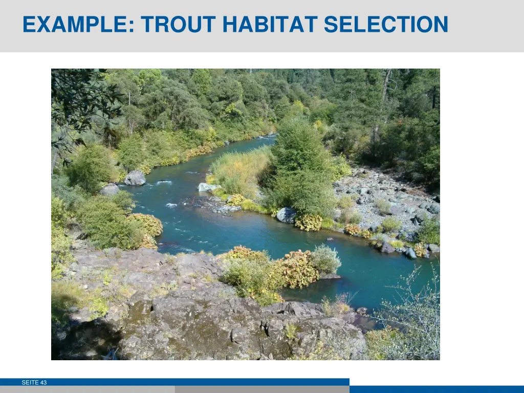 example trout habitat selection