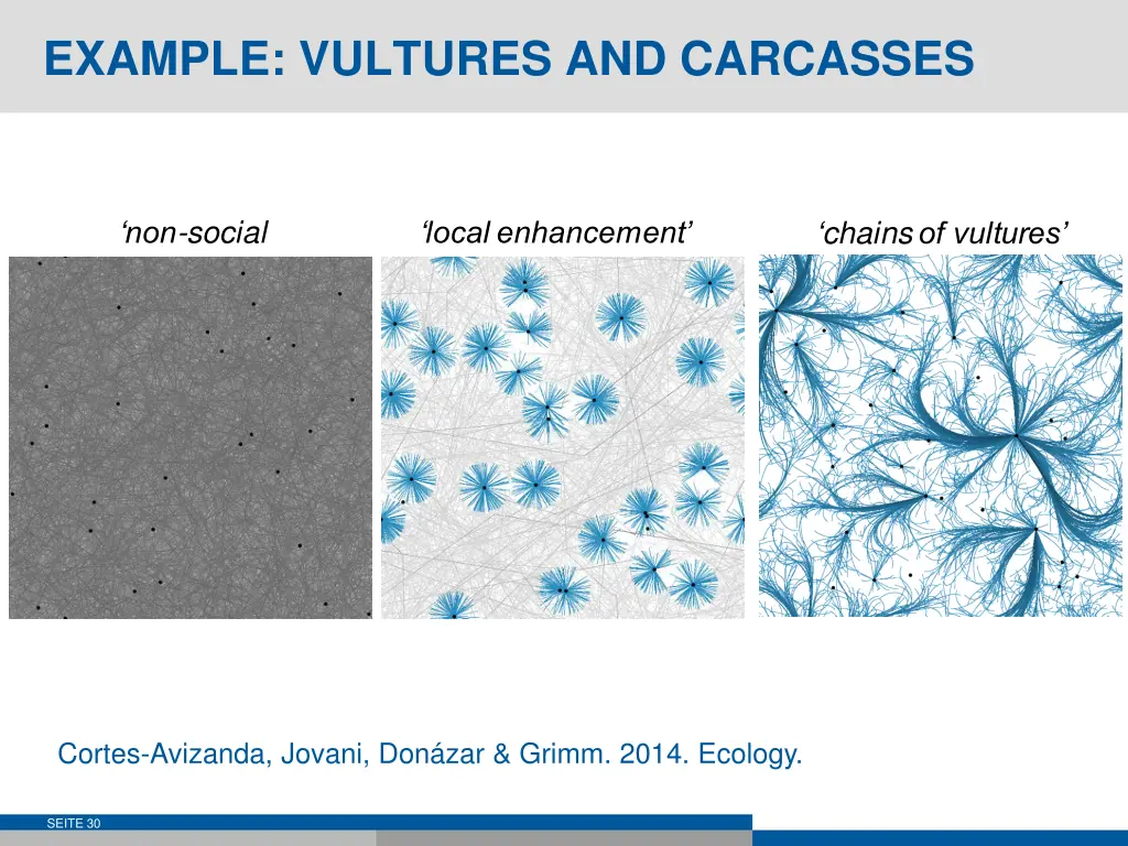 example vultures and carcasses 1