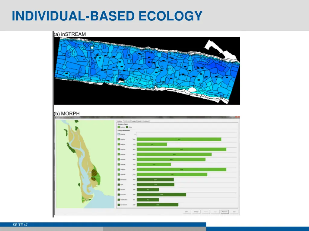 individual based ecology 1