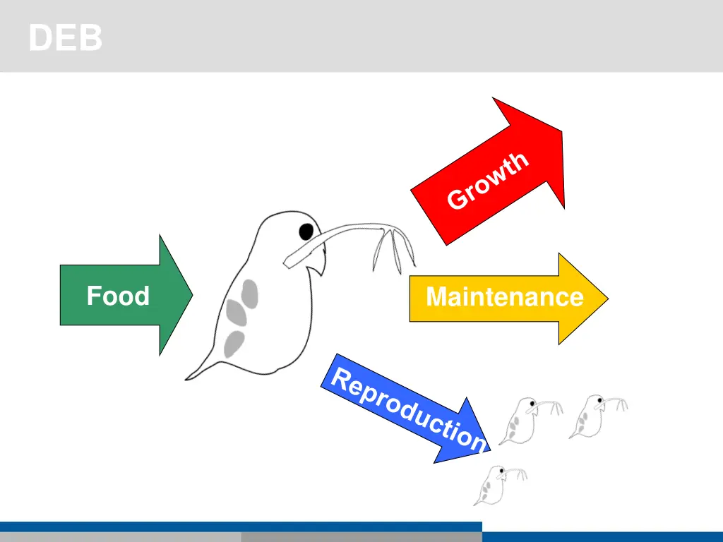 slide36