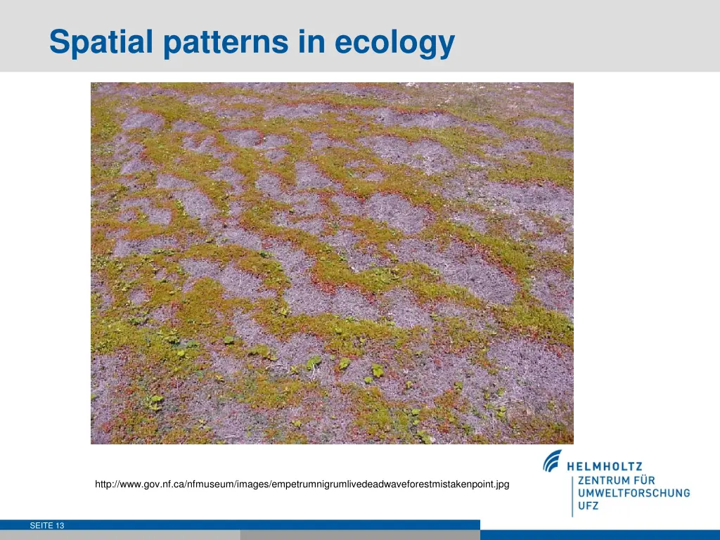 spatial patterns in ecology