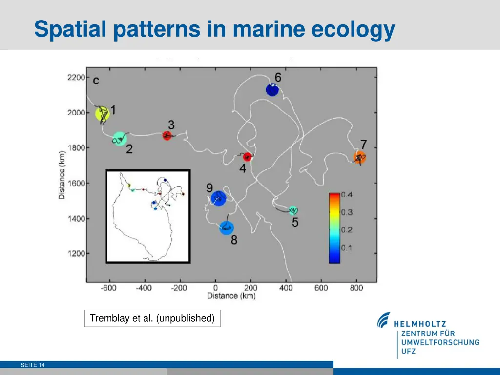 spatial patterns in marine ecology