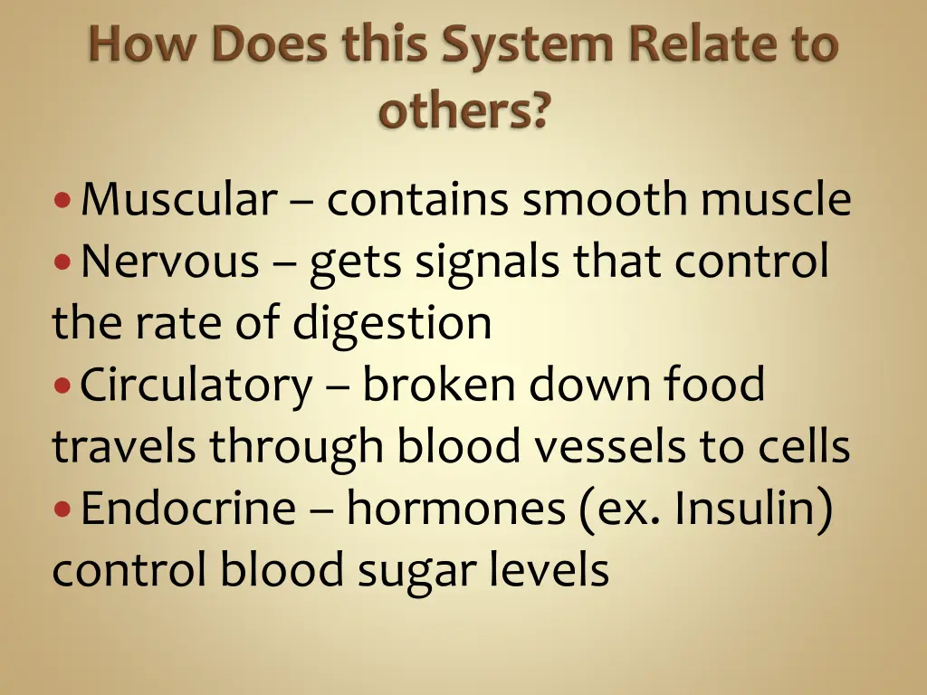 muscular contains smooth muscle nervous gets