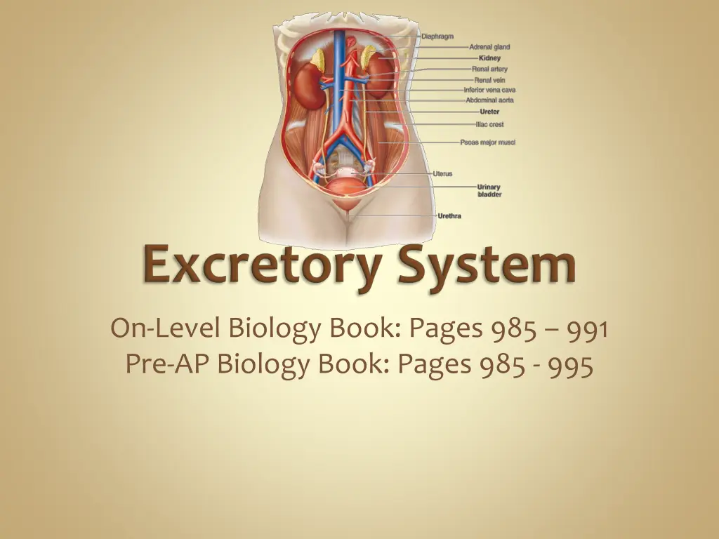 on level biology book pages 1