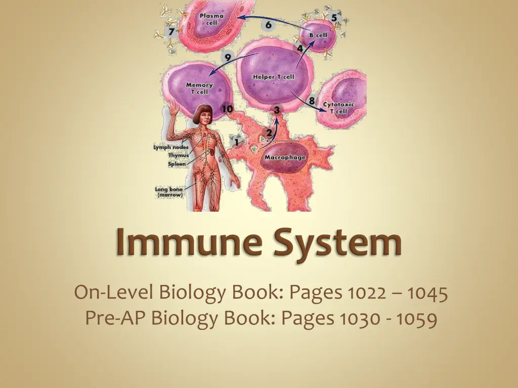 on level biology book pages 1022 1045