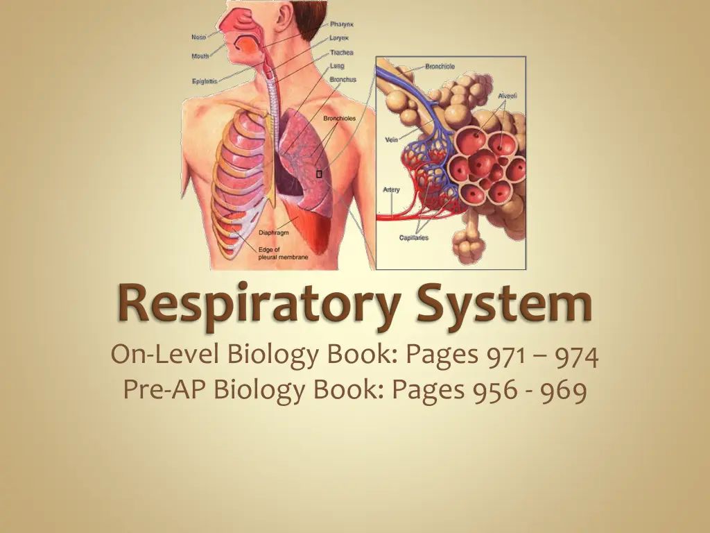 on level biology book pages 2
