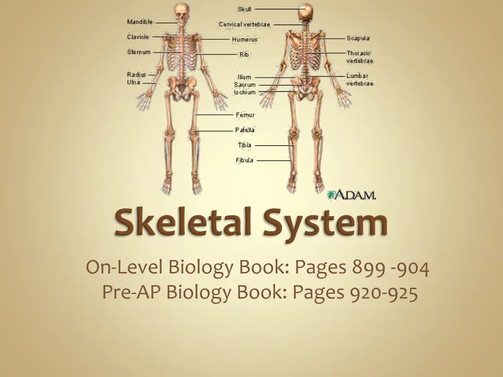 on level biology book pages 4