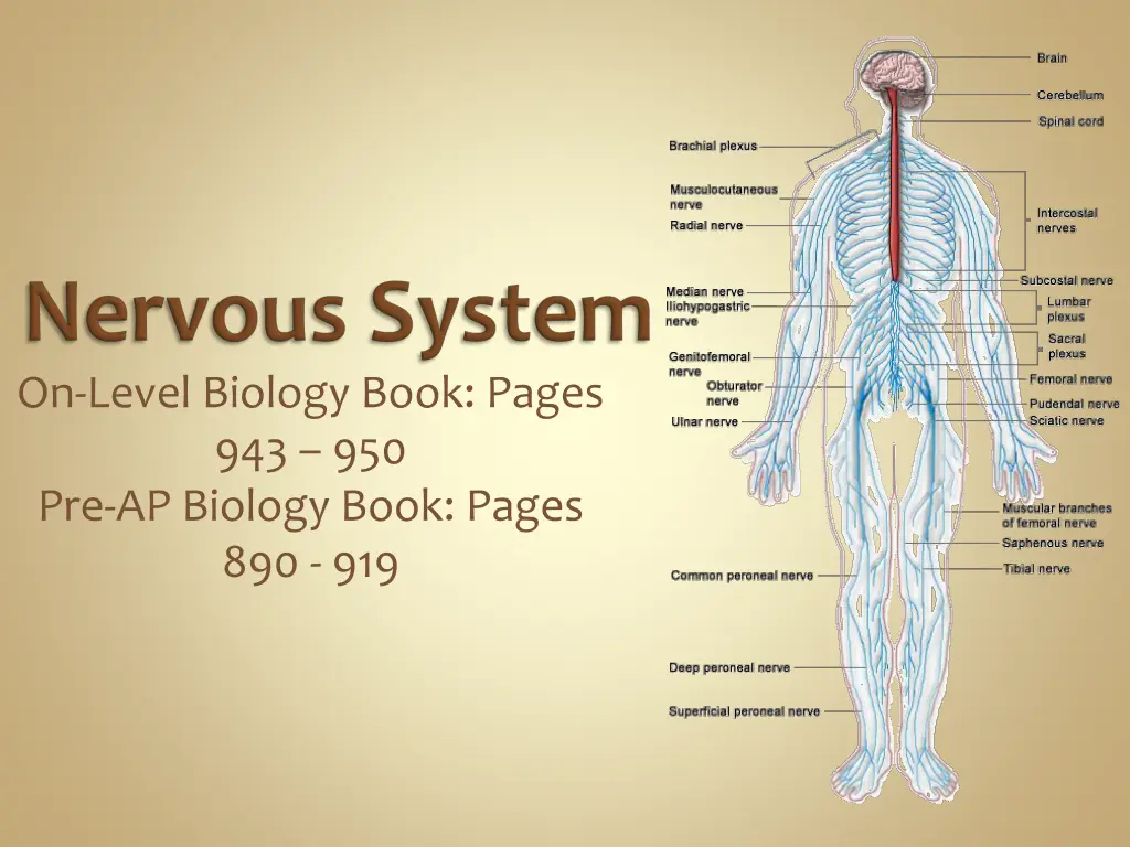 on level biology book pages 6