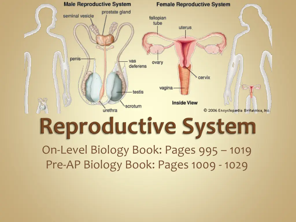 on level biology book pages 995 1019