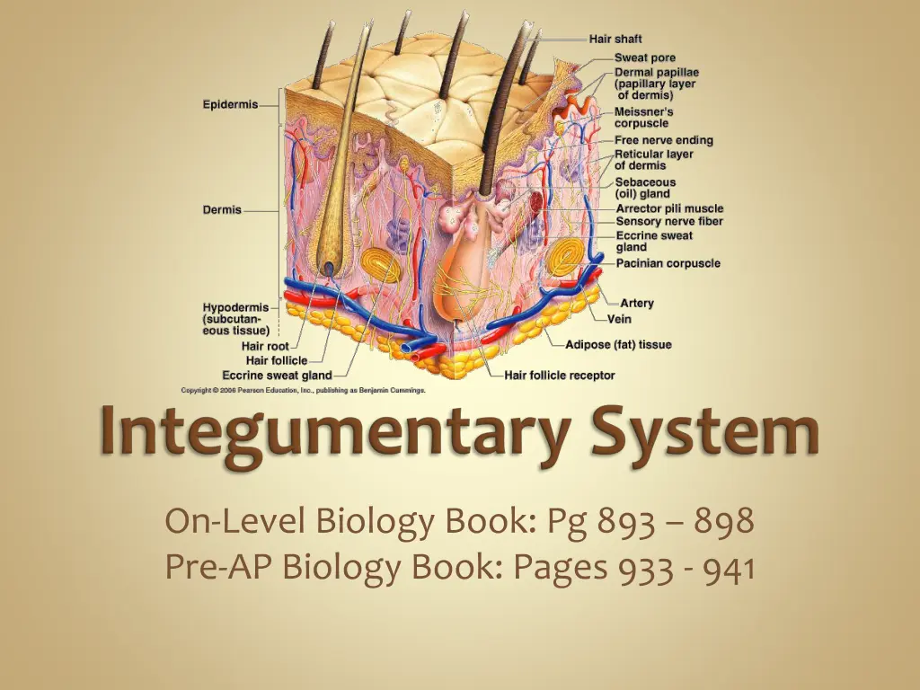 on level biology book pg 893 898 pre ap biology