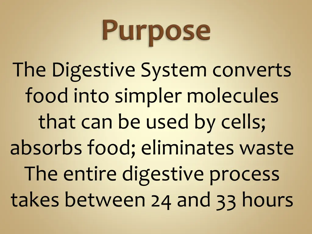 the digestive system converts food into simpler