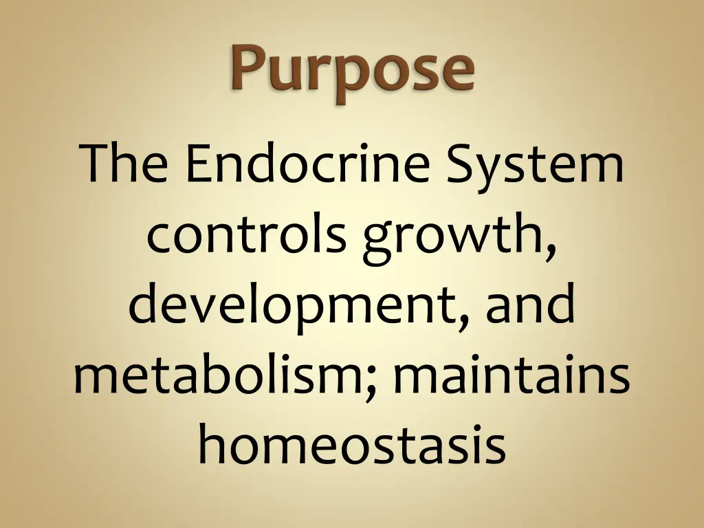 the endocrine system controls growth development