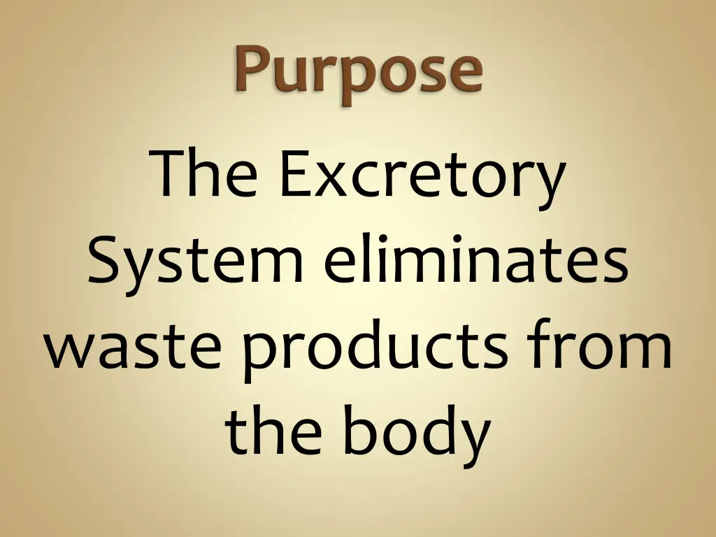 the excretory system eliminates waste products