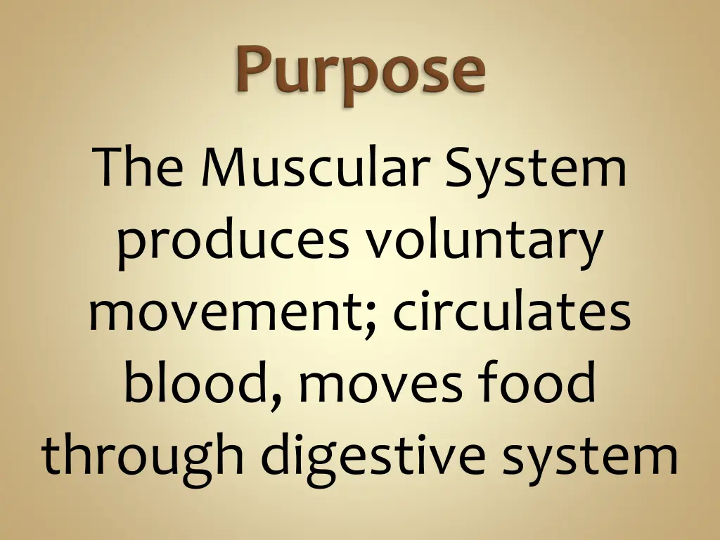 the muscular system produces voluntary movement