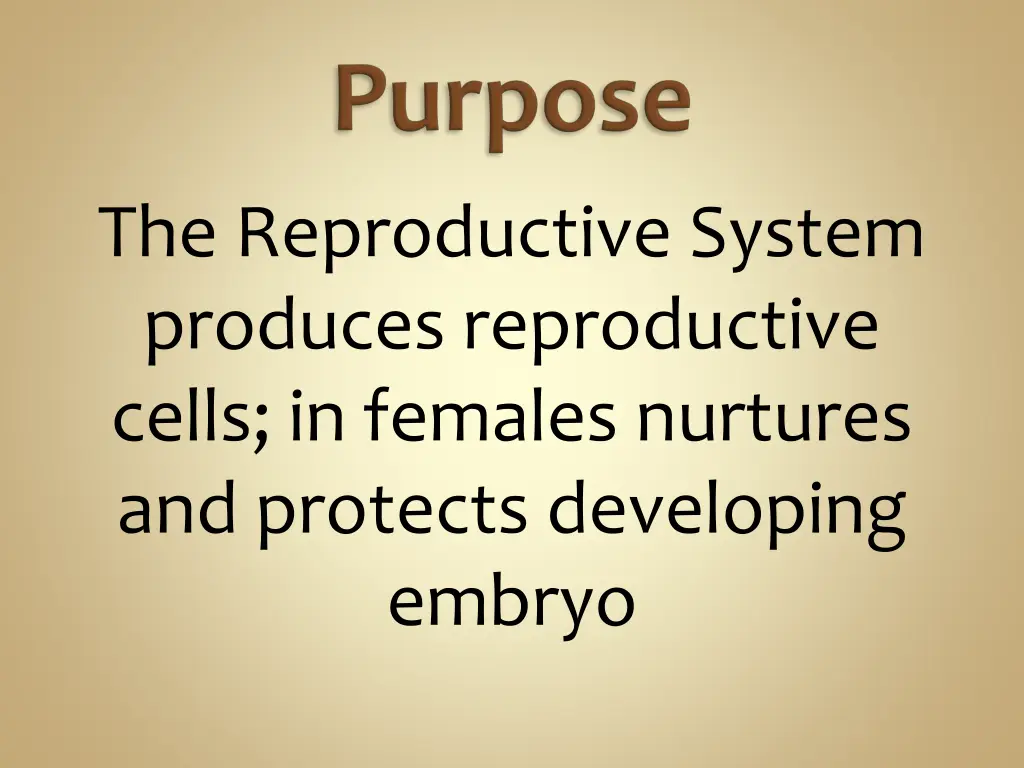 the reproductive system produces reproductive