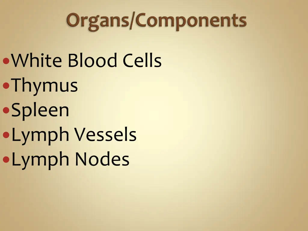 white blood cells thymus spleen lymph vessels