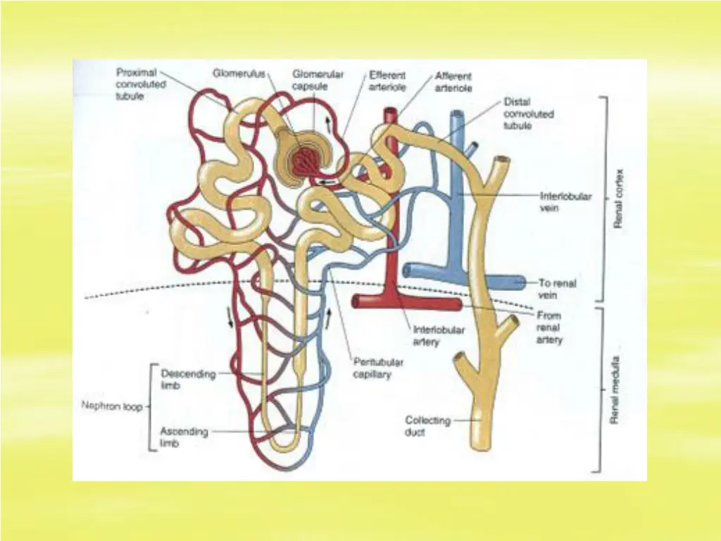 slide14