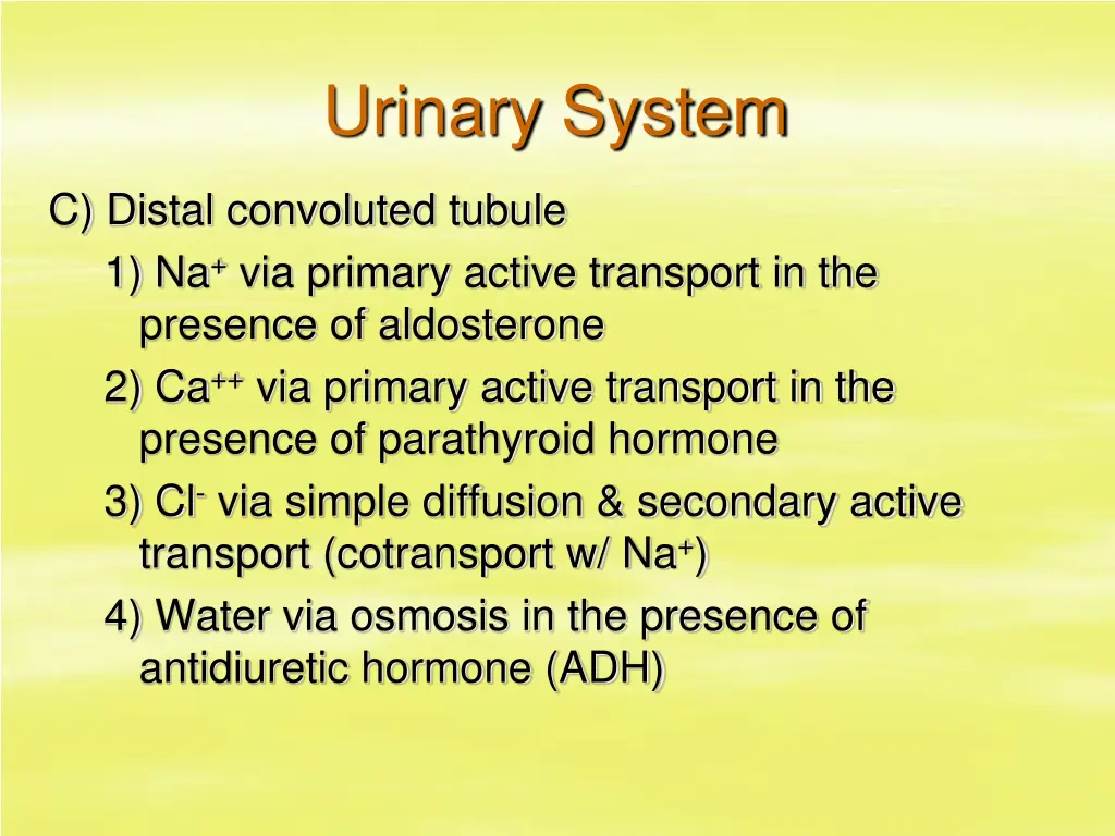urinary system 25