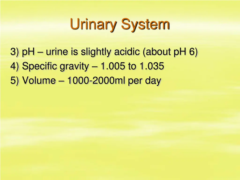 urinary system 30