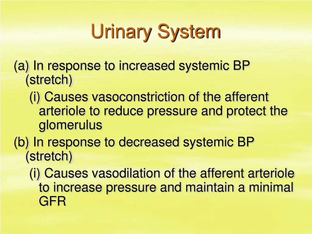 urinary system 36