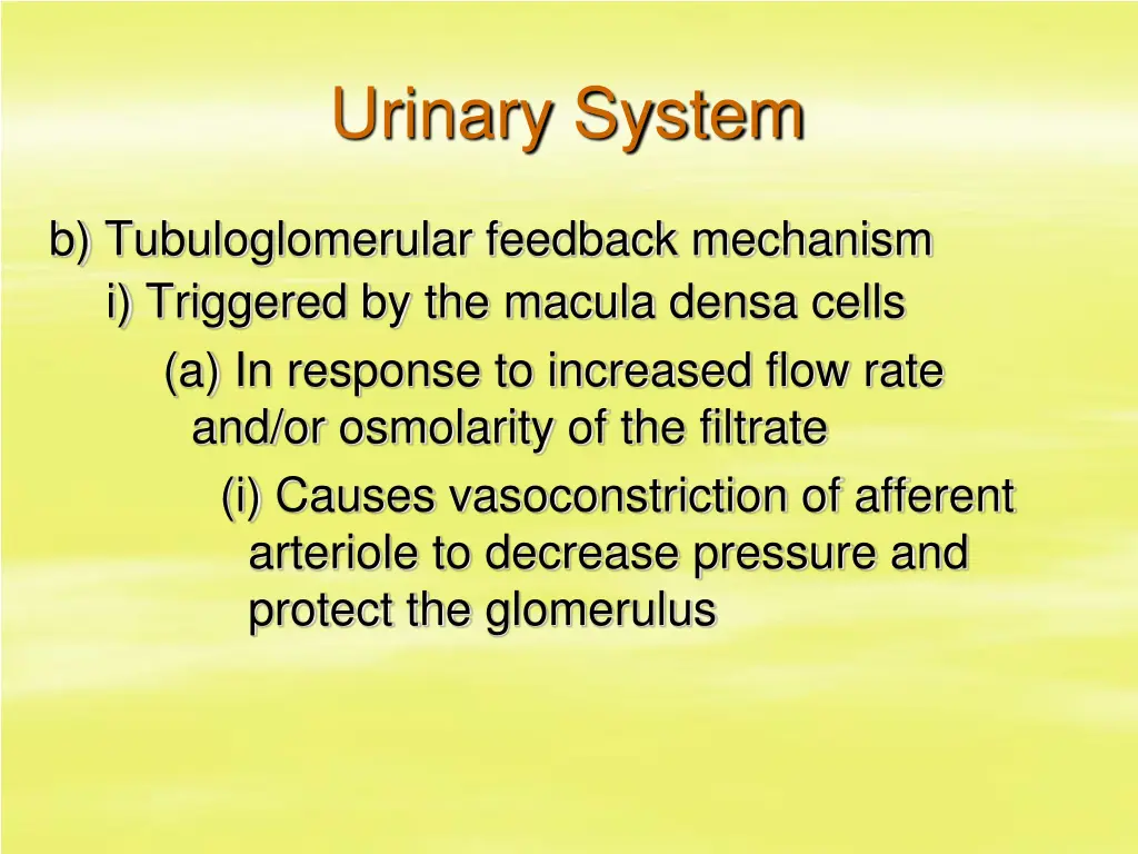 urinary system 37