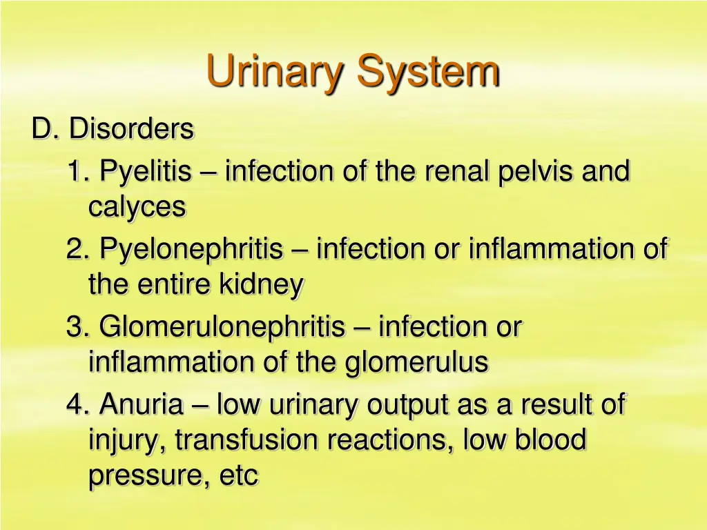 urinary system 44