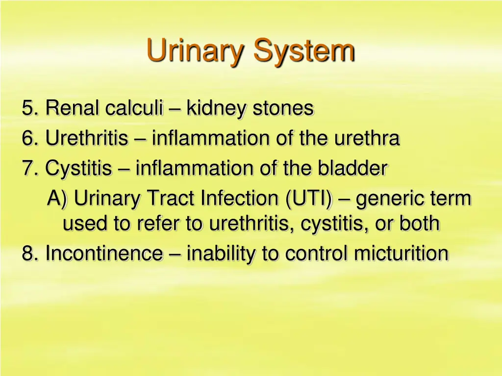 urinary system 45