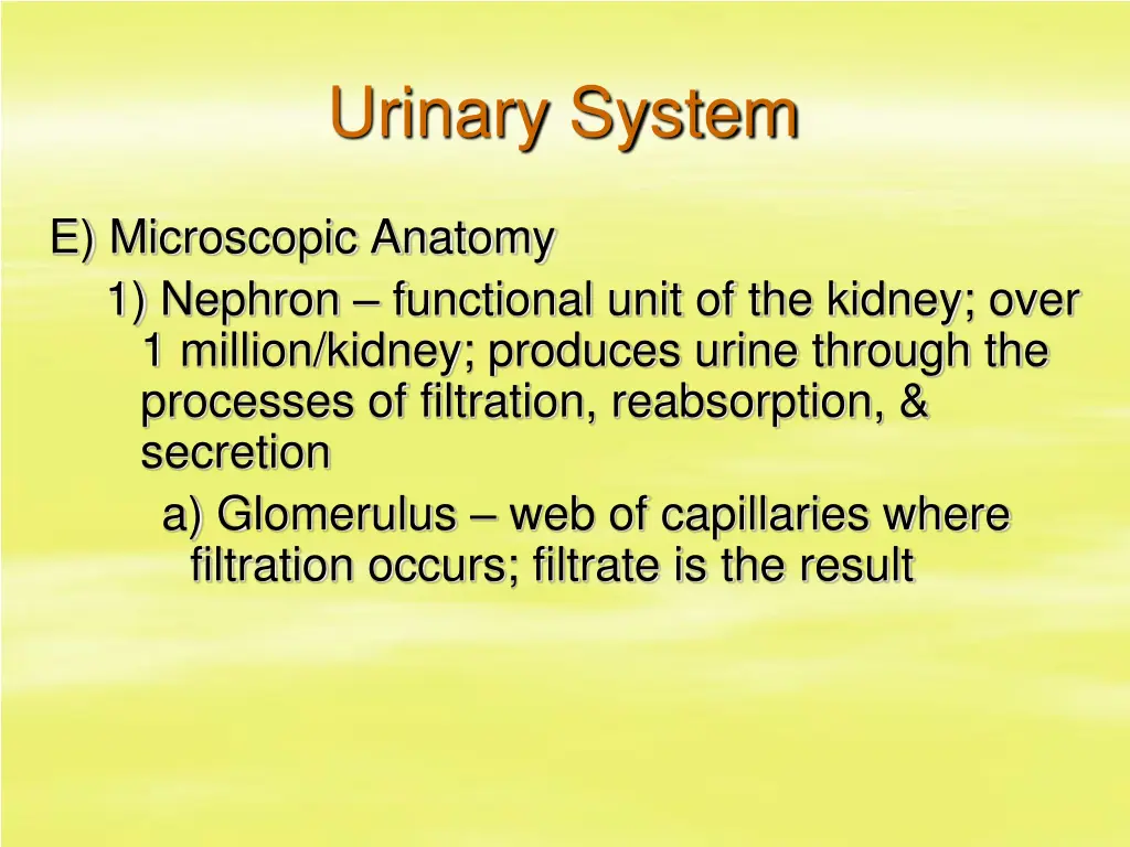 urinary system 6