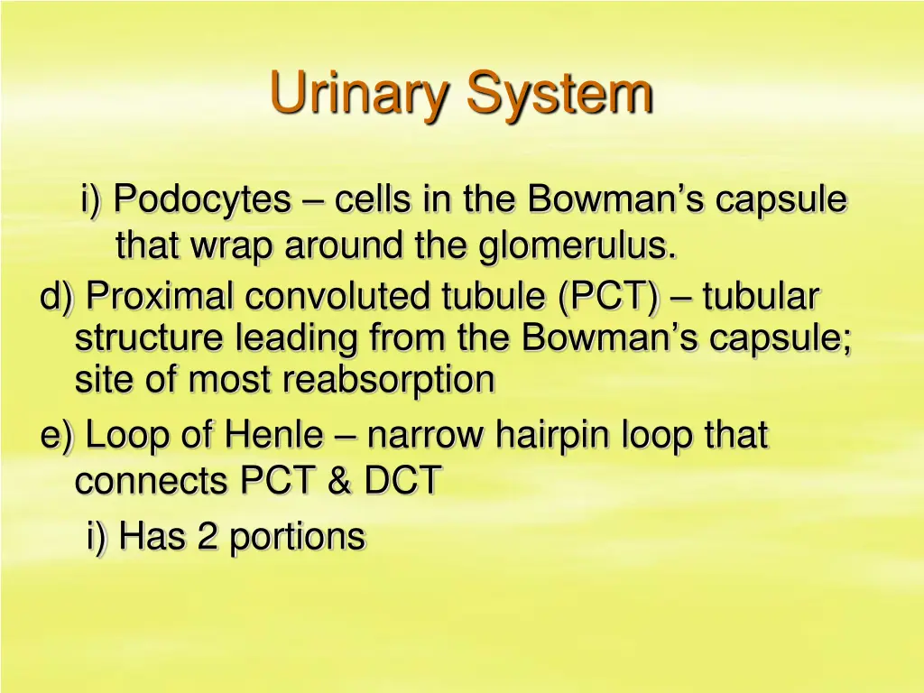 urinary system 8