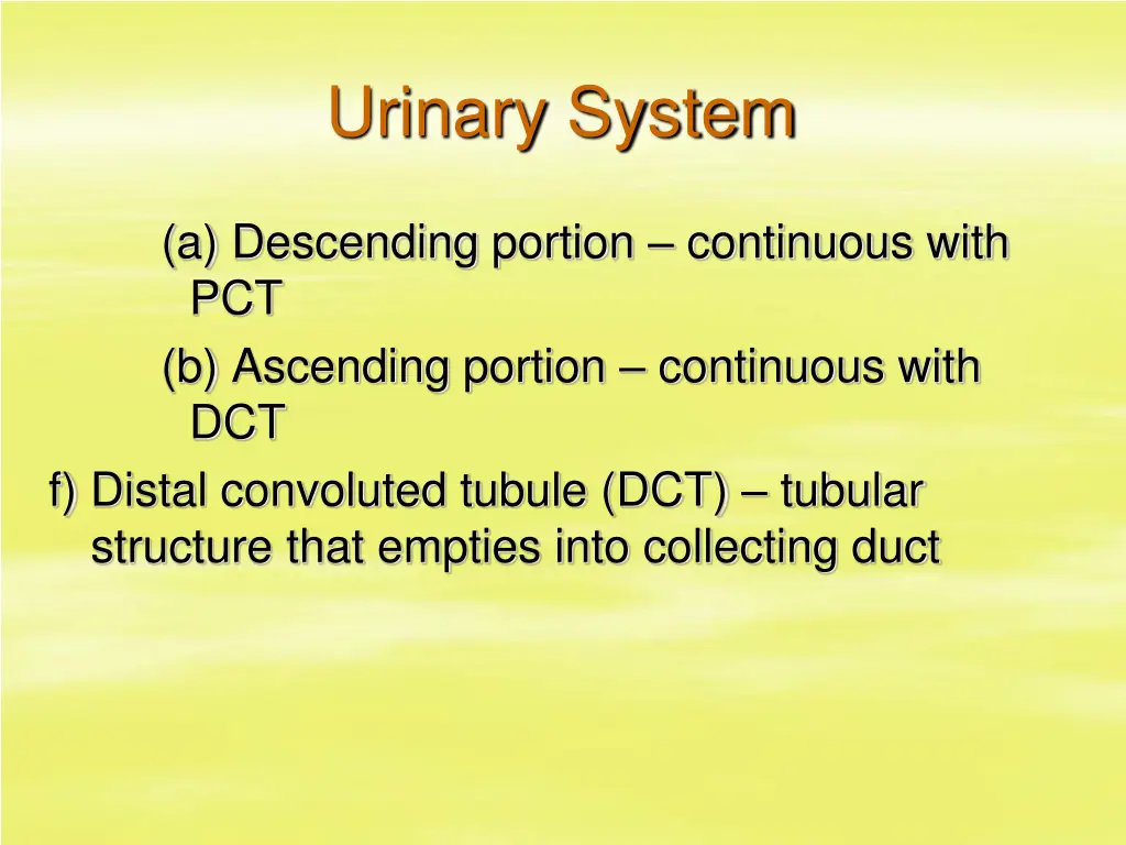urinary system 9