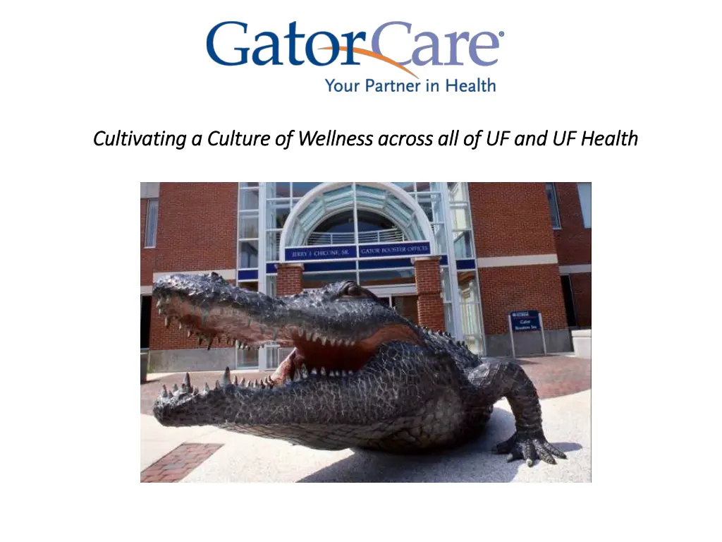 cultivating a culture of wellness across