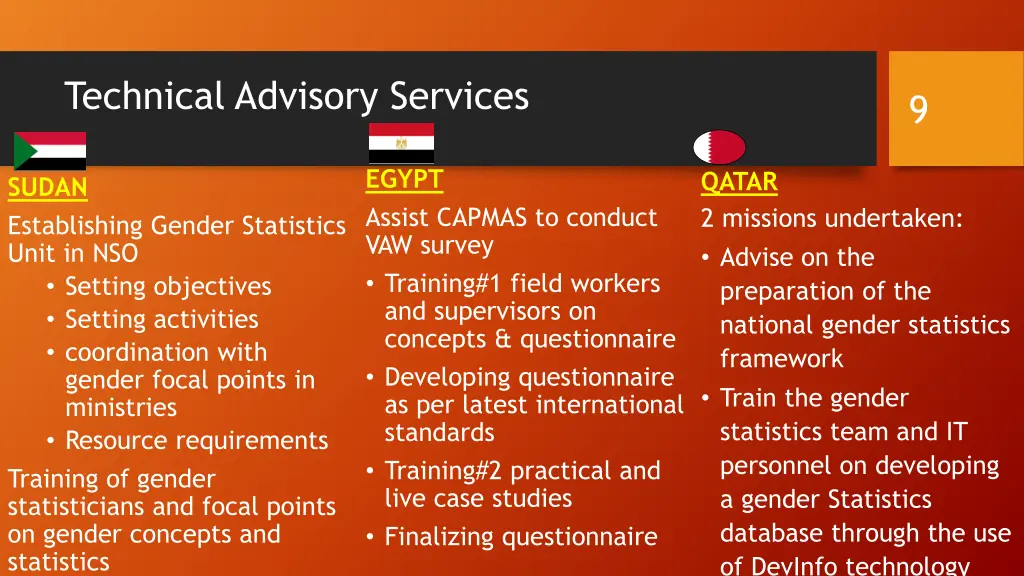 technical advisory services