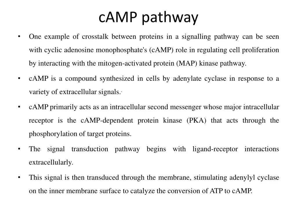 camp pathway