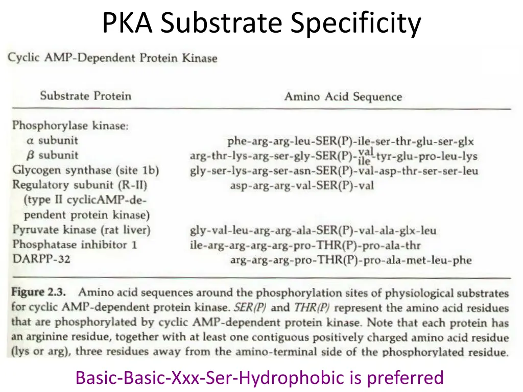 pka substrate specificity